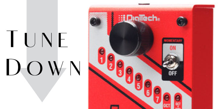 DIGITECH(デジテック) Dropを購入！Whammy Ricochetとの違いを比較解説